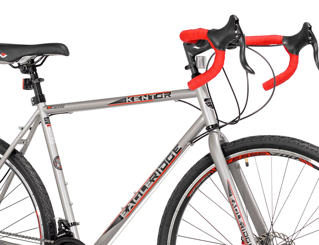 700c Gravel Men's Large Bike G321