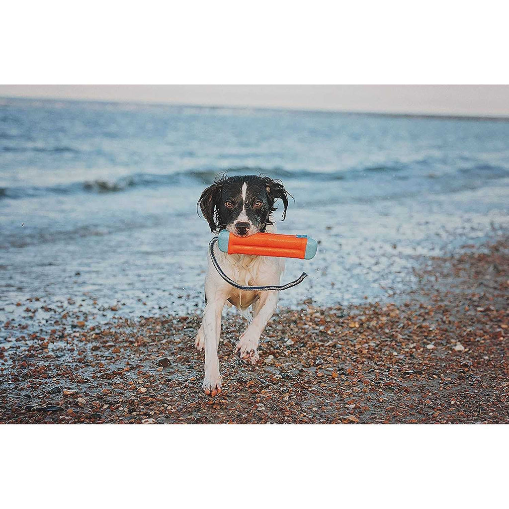Amphibious Bumper Toy X7508