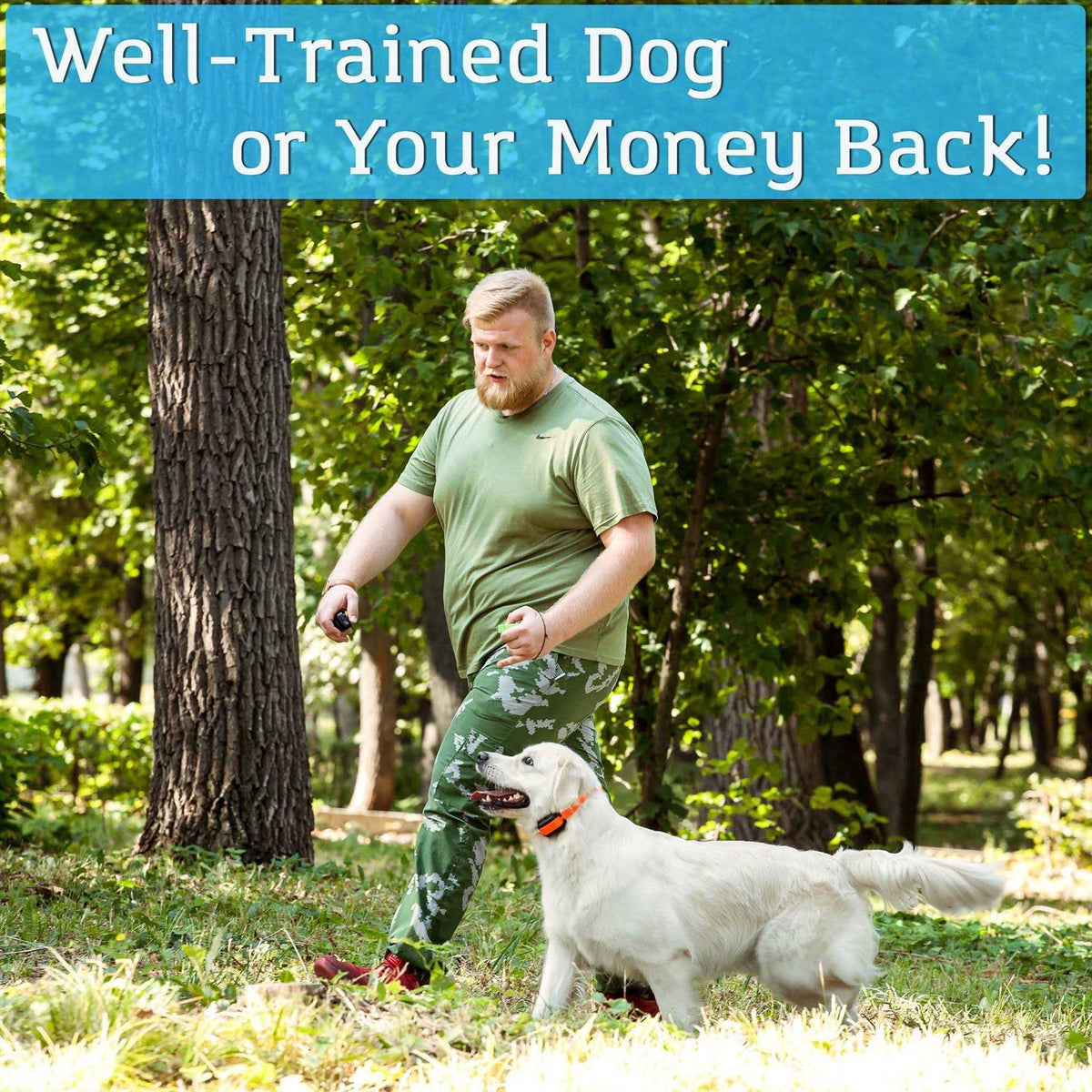 Remote Dog Training Collar X3337