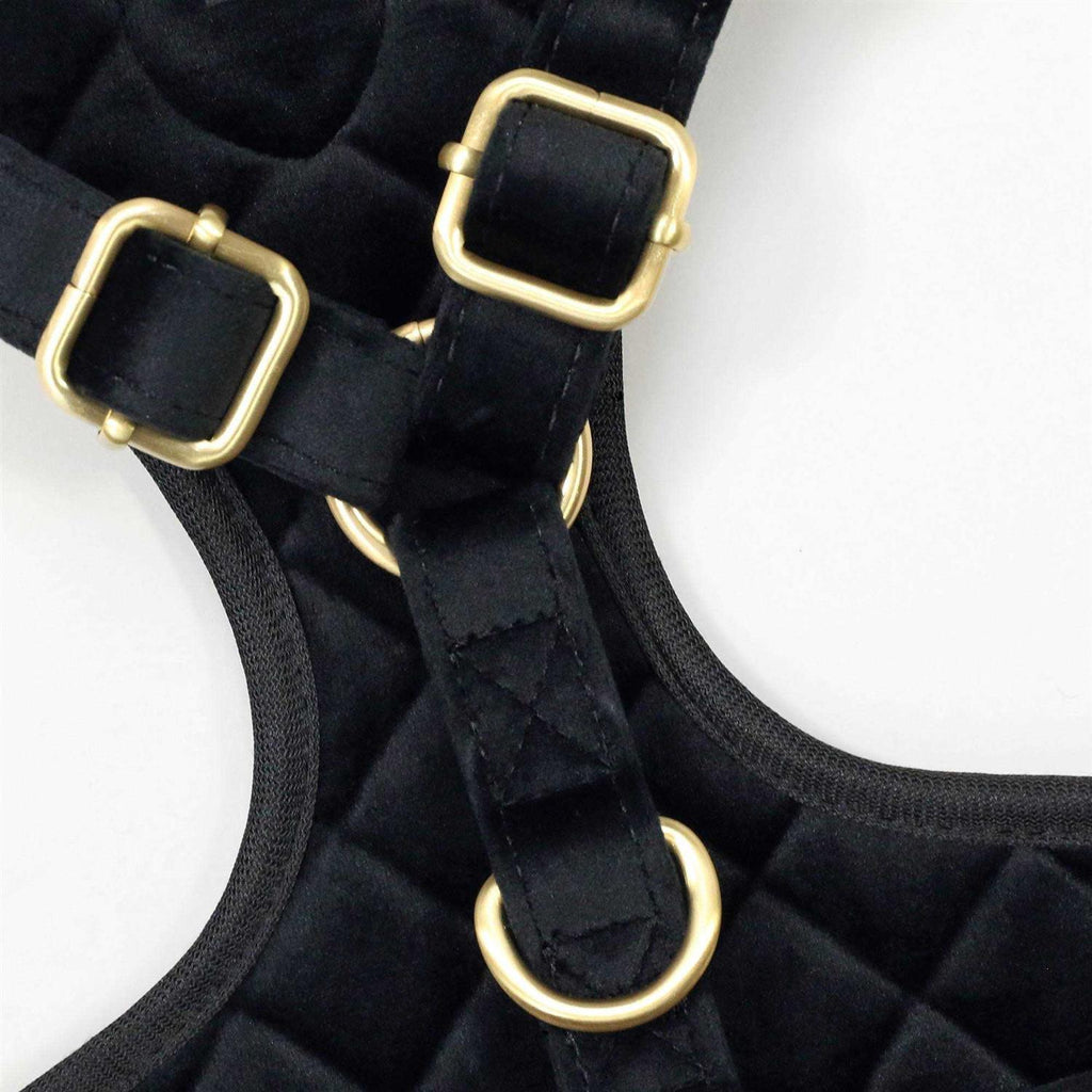 Quilted Pet Harness O3911