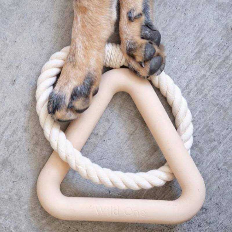 Triangle Tug Dog Toy G97575