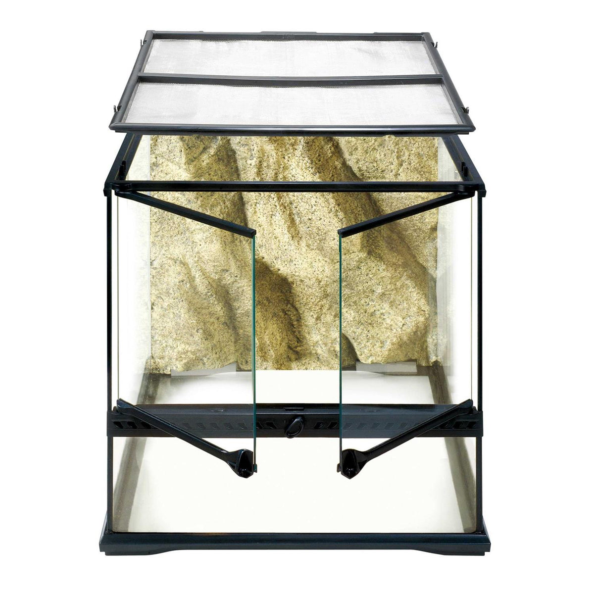 Glass Terrarium Y766