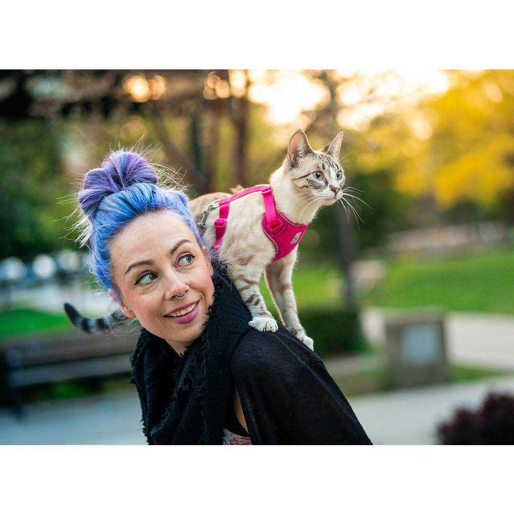 Cat Harness B83633