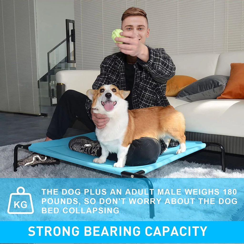 Extra Large Elevated Dog Bed X868036