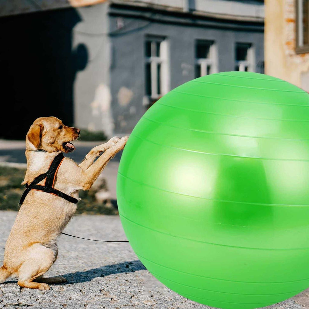 30 Inch Anti-Burst Mega Herding Ball with Pump L562138