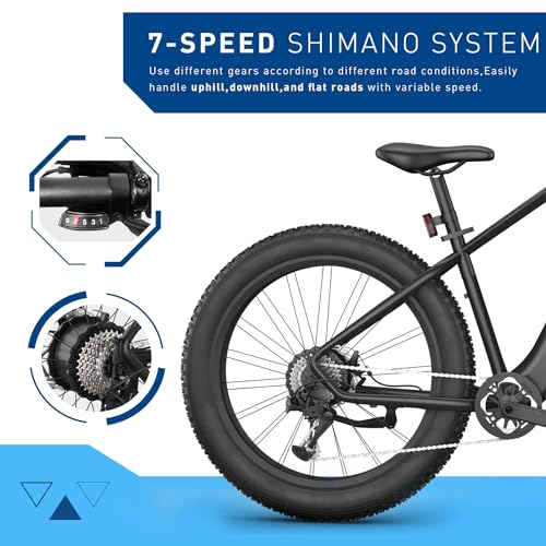 1000W 48V 13Ah Fat Tire Electric Bike Q2388