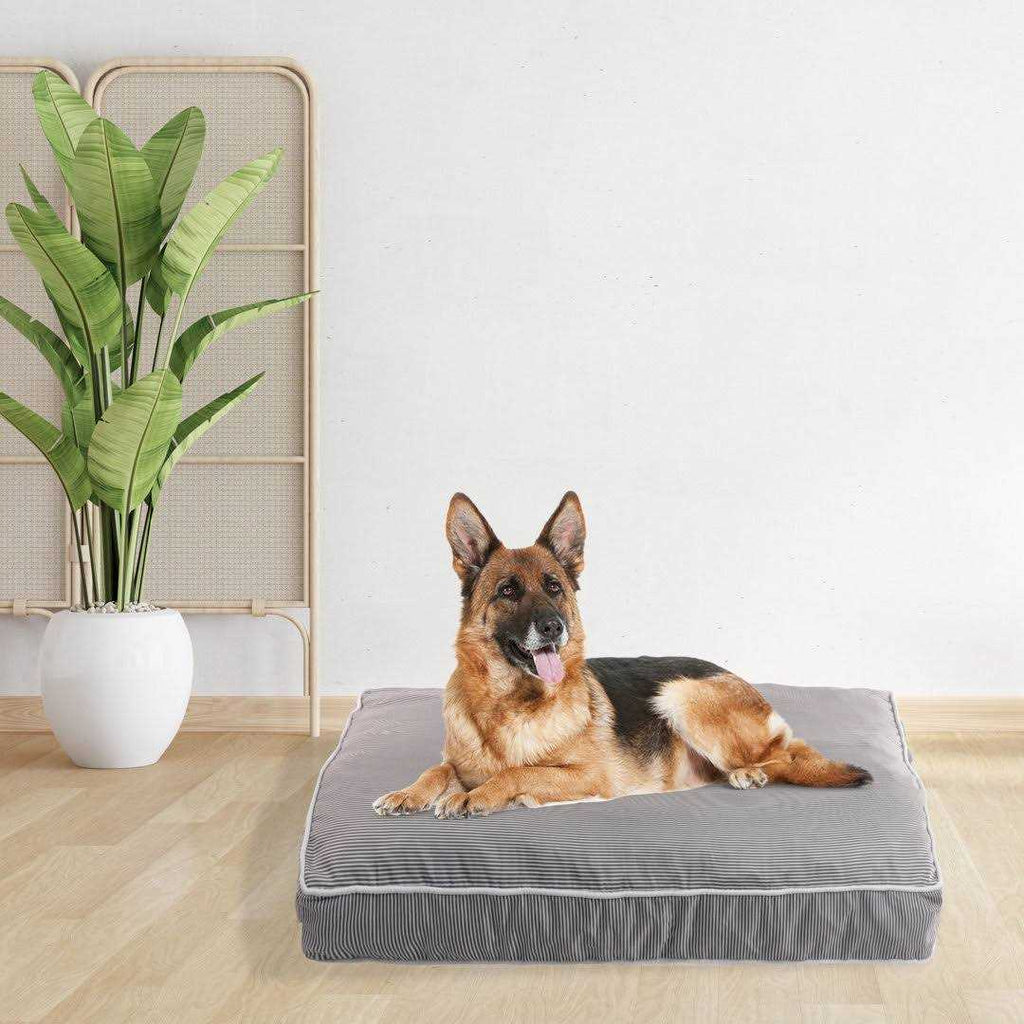 Orthopedic Pet Bed C9713