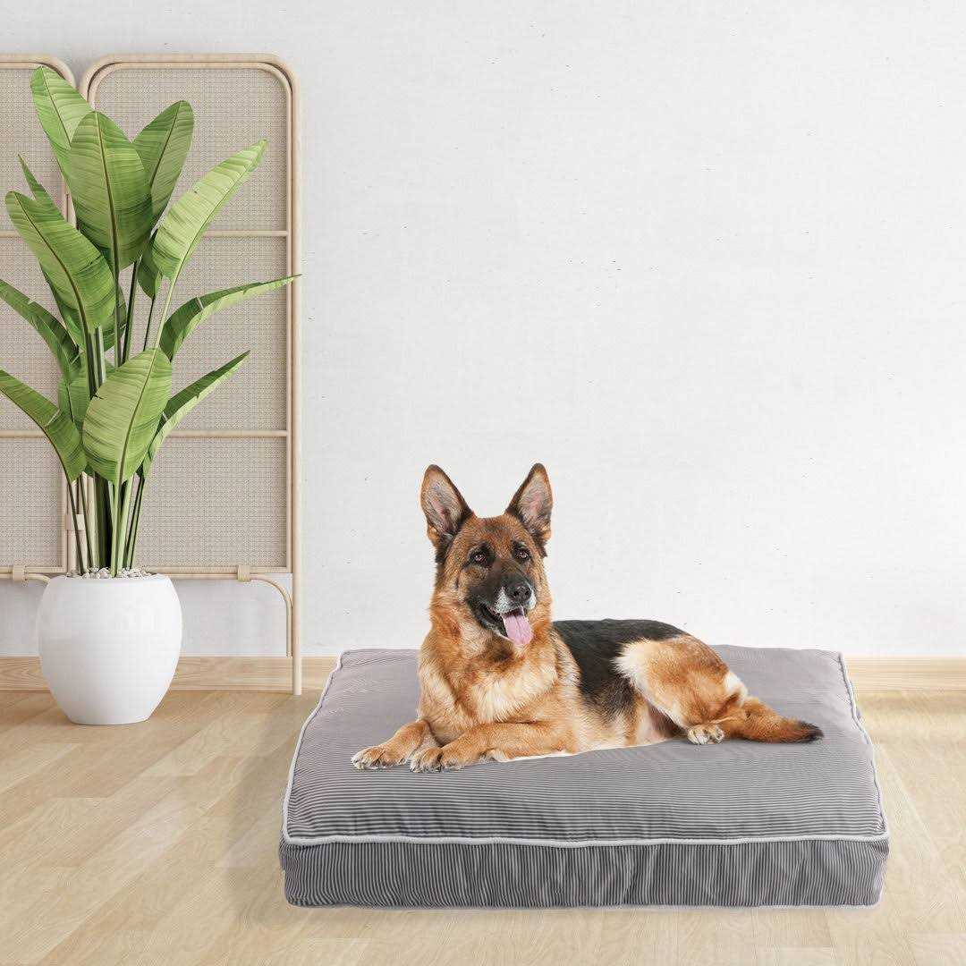 Orthopedic Pet Bed C9713