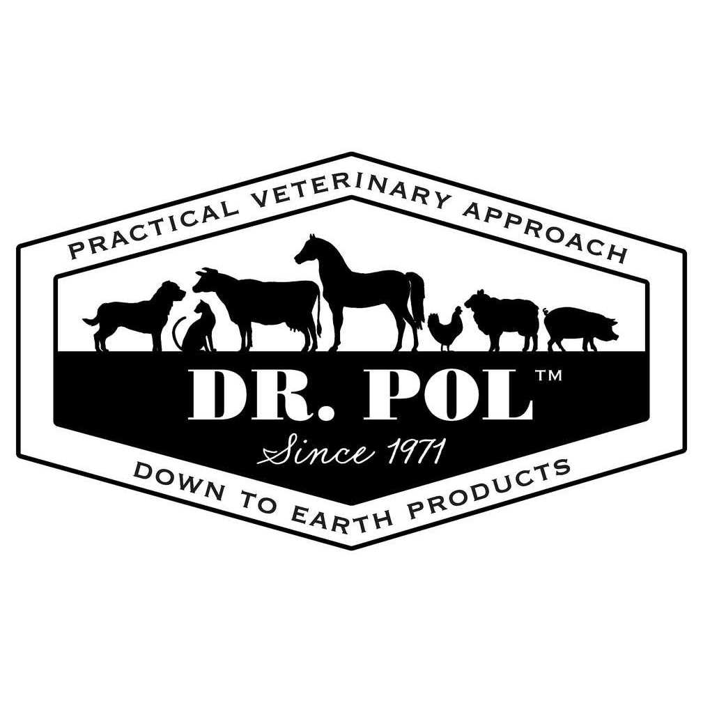 Chicken Recipe Dry Dog Food I886003