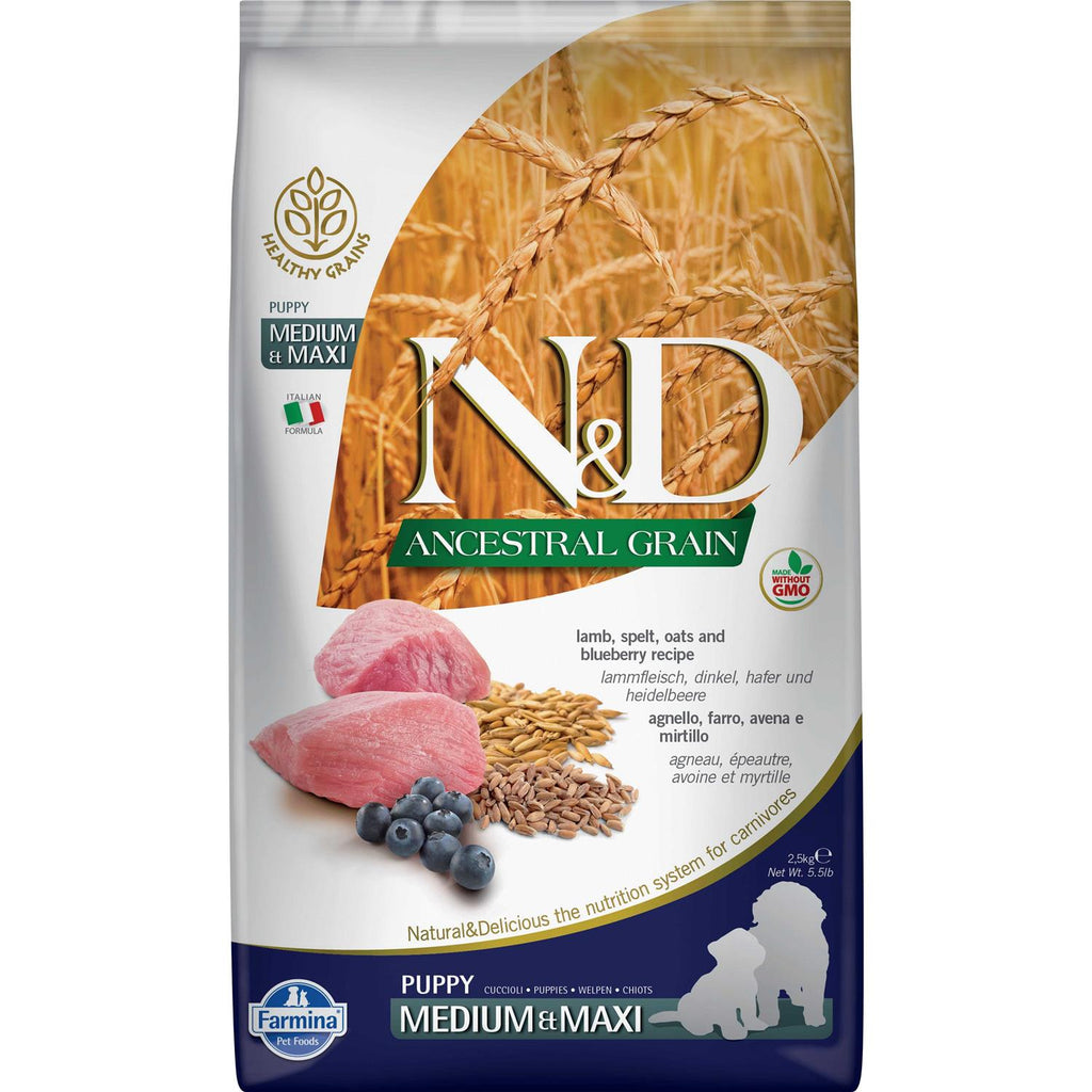 Lamb & Blueberry Puppy Dry Dog Food N1918