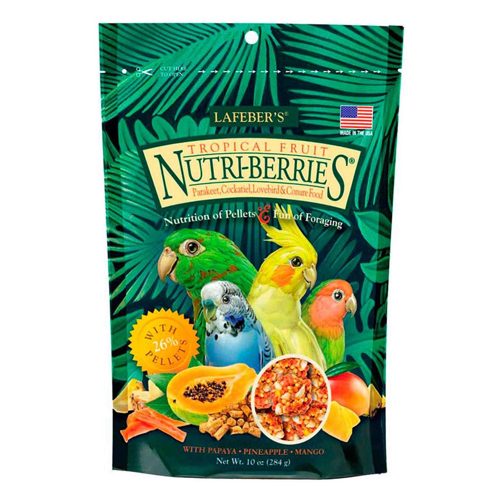 Tropical Fruit Parakeet Food I160283