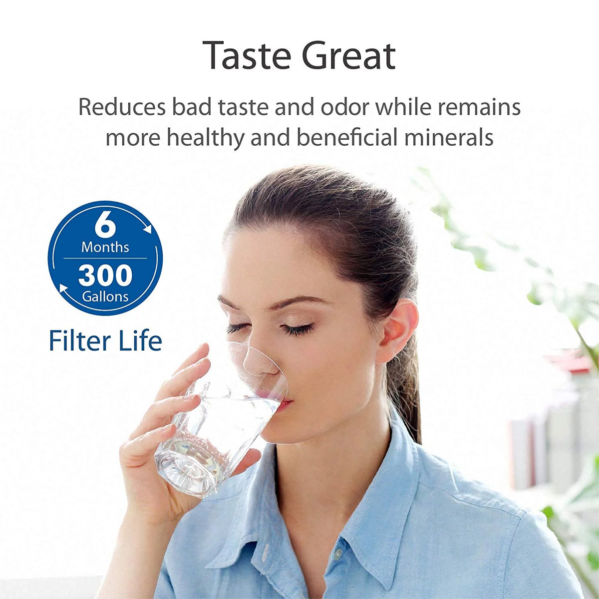 Refrigerator Water Filter, NSF 53&42 Certified (4 Pack) S230