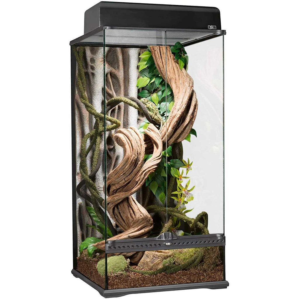 Glass Terrarium Y766