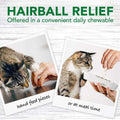 Cat Hairball Relief Digestive Aid M427