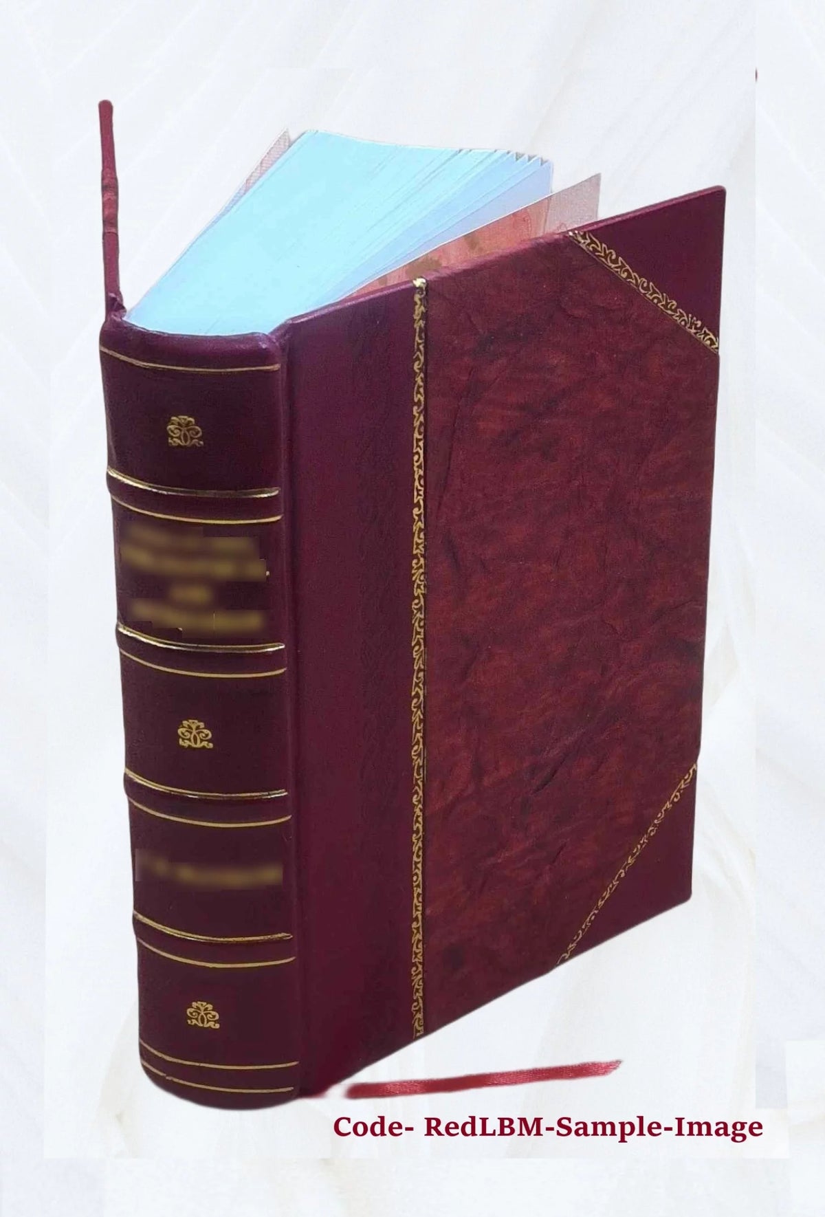 Leather Bound Book P267080