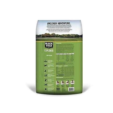 Dry Dog Food R5720
