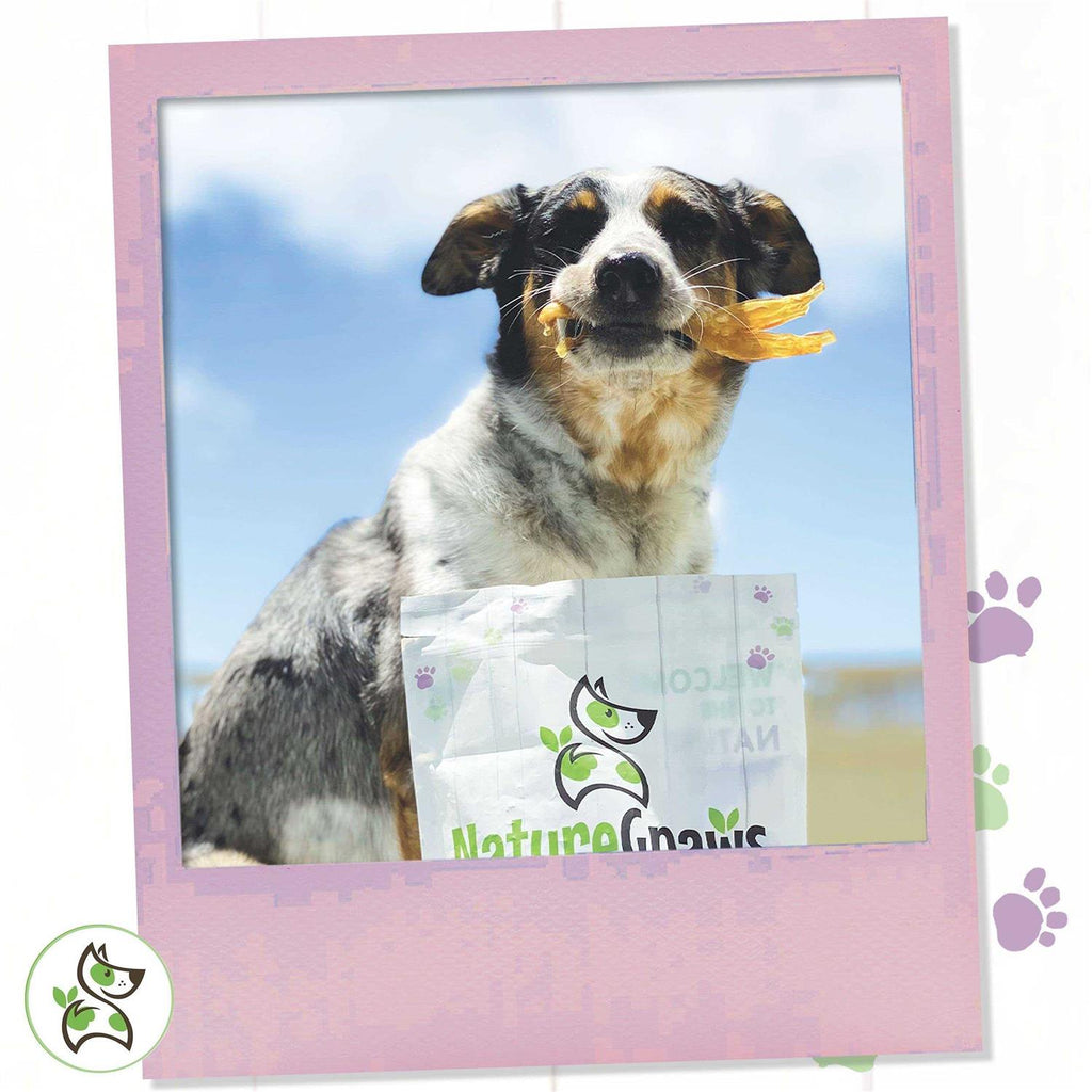 Beef Tendon Dog Chews B557