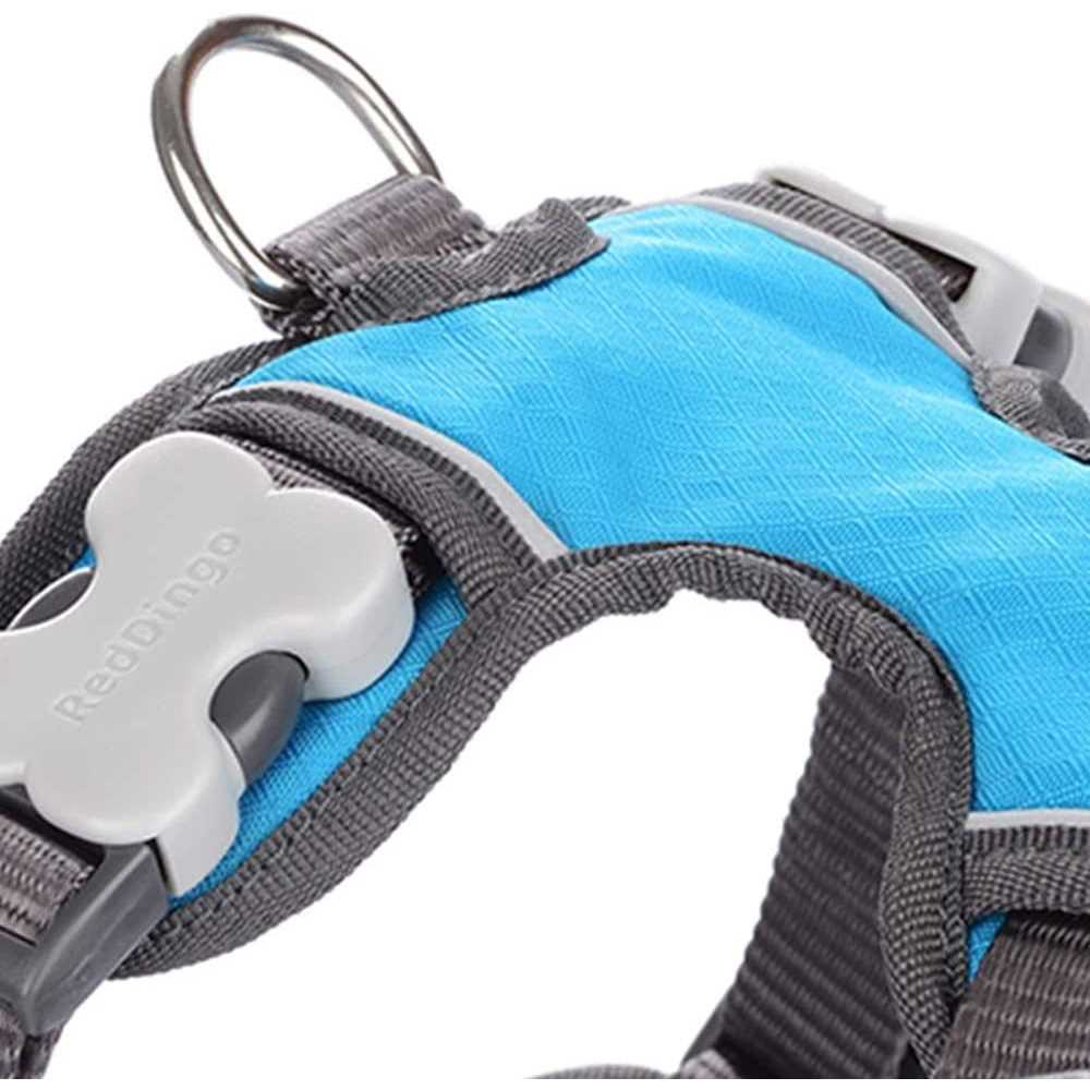 Red Dingo Padded Dog Harness N654