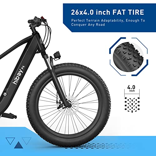 1000W 48V 13Ah Fat Tire Electric Bike Q2388