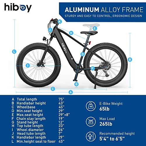 1000W 48V 13Ah Fat Tire Electric Bike Q2388