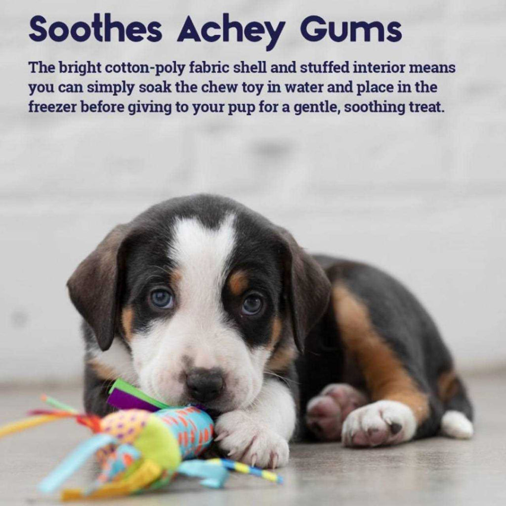 Cool Teething Stick Dog Toy T758627