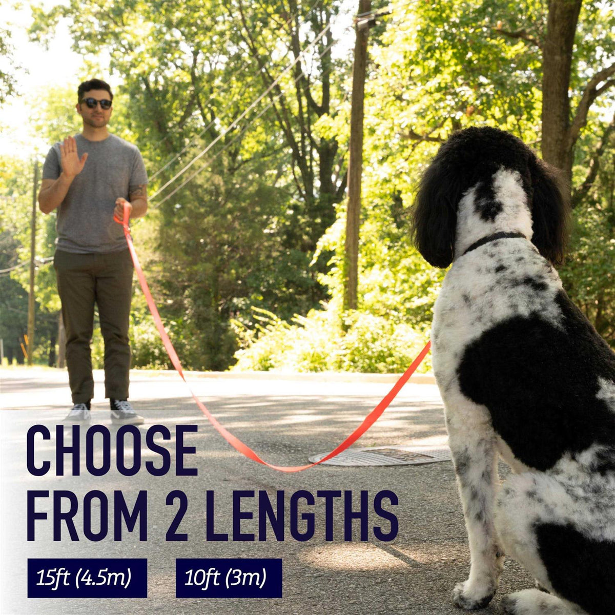 10 Foot Dog Leash with Padded Handle X1269