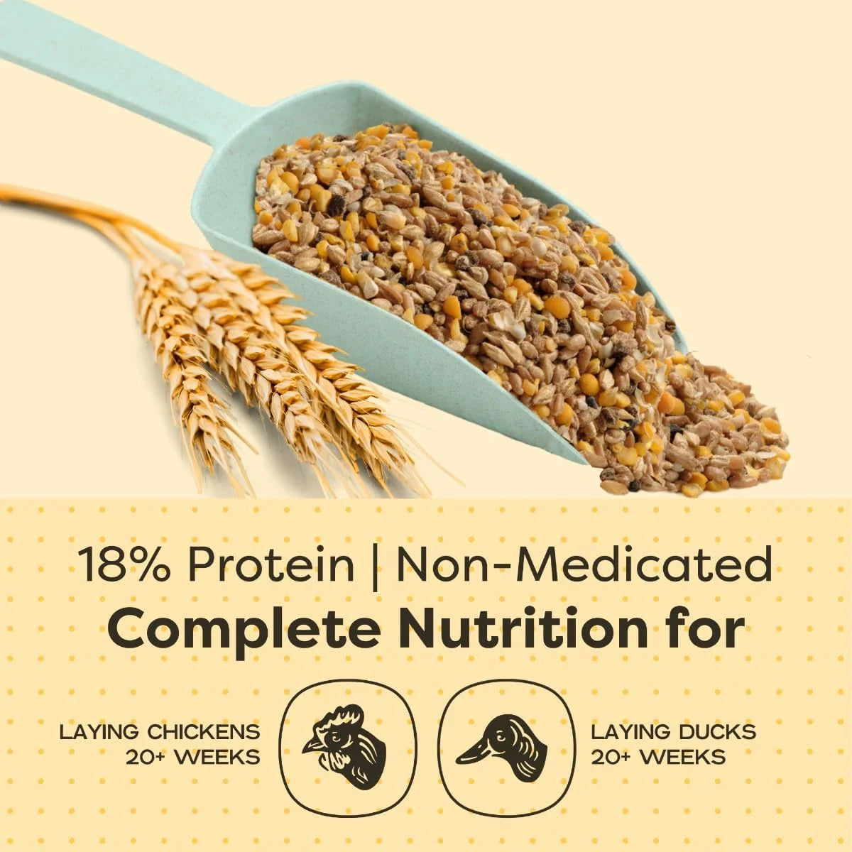 Organic Whole Grain Layer Feed + Corn 18% Protein Chicken and Duck Feed 40lb V755