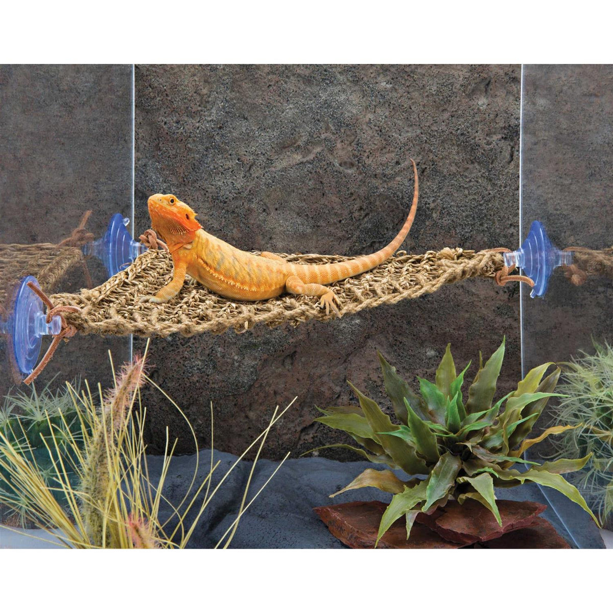 Lizard Lounger H86398