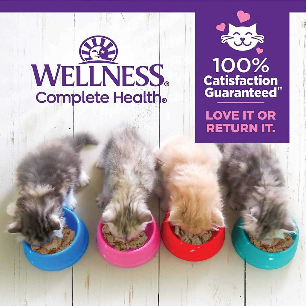 Cat Food I5093