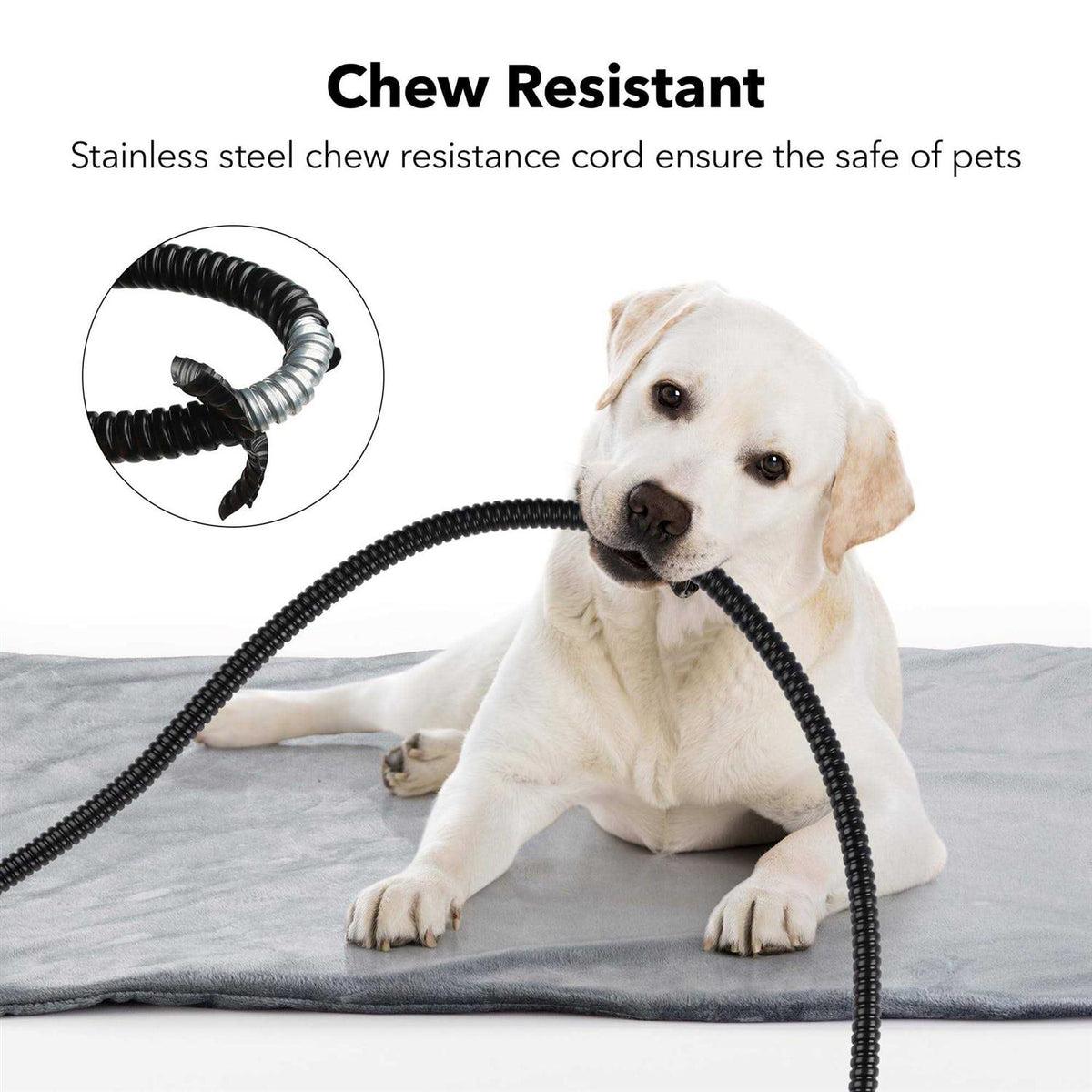 Pet Heating Pad 16 x 18 with Chew Resistant Cord I764170