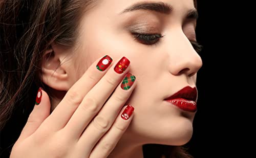 Holiday Nail Art Stickers Variety Pack V305
