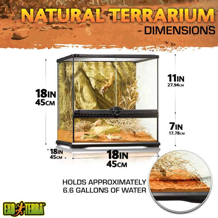 Glass Terrarium Y766