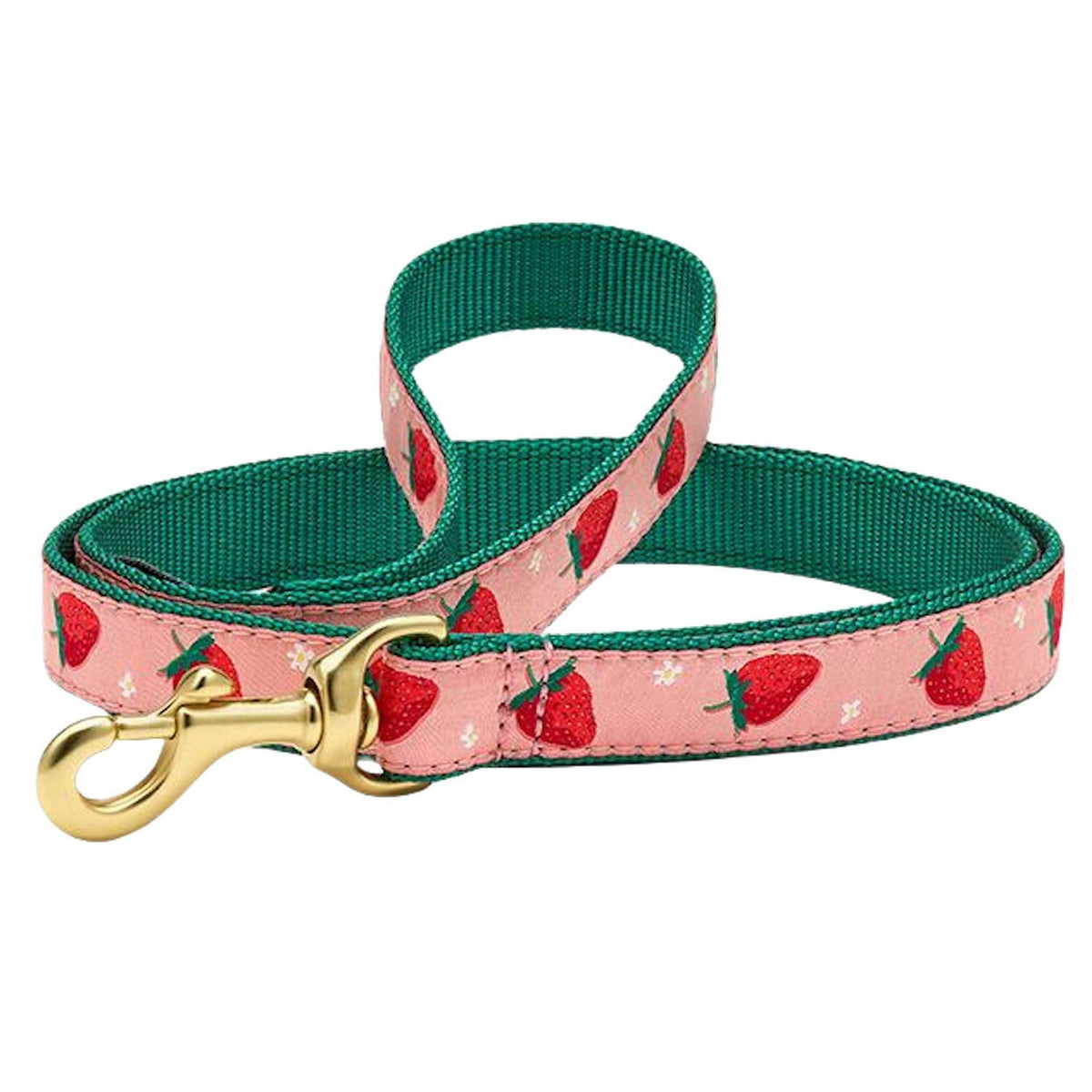 Strawberry Fields Dog Collar O554178