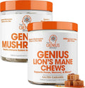 Lion's Mane Soft Chews & Mushroom Supplement R18491