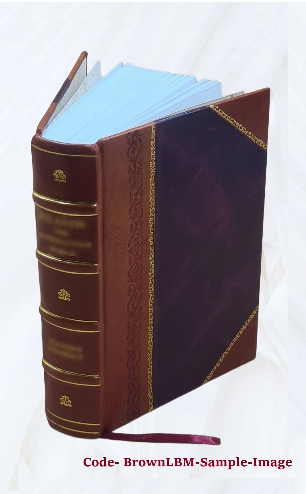 Leather Bound Book P267080