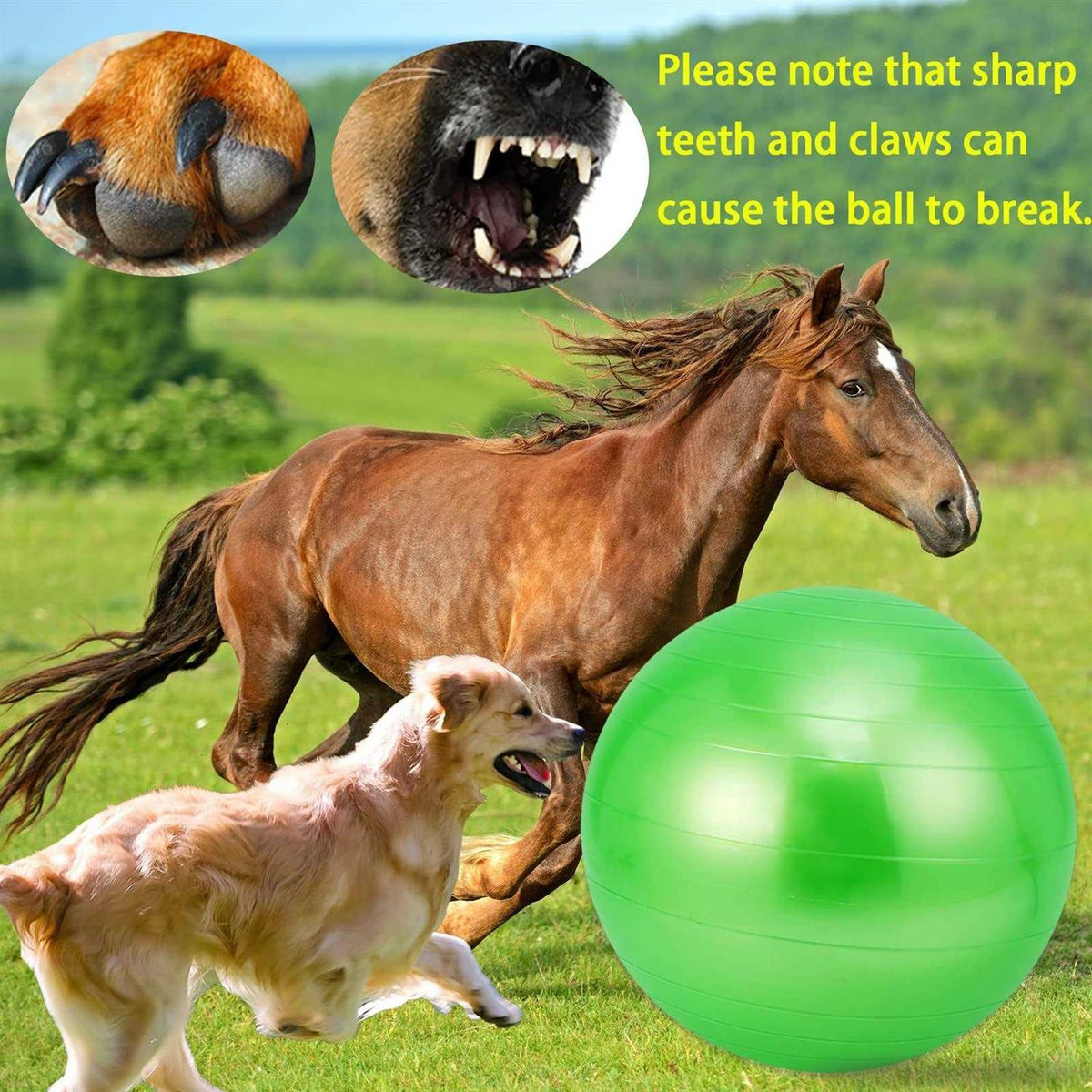 30 Inch Anti-Burst Mega Herding Ball with Pump L562138