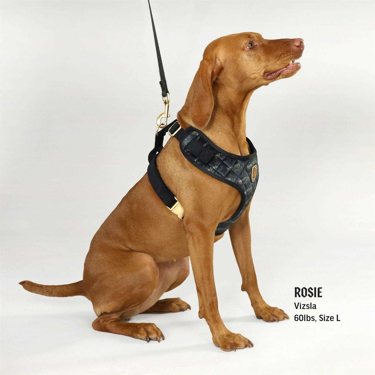 Quilted Pet Harness O3911
