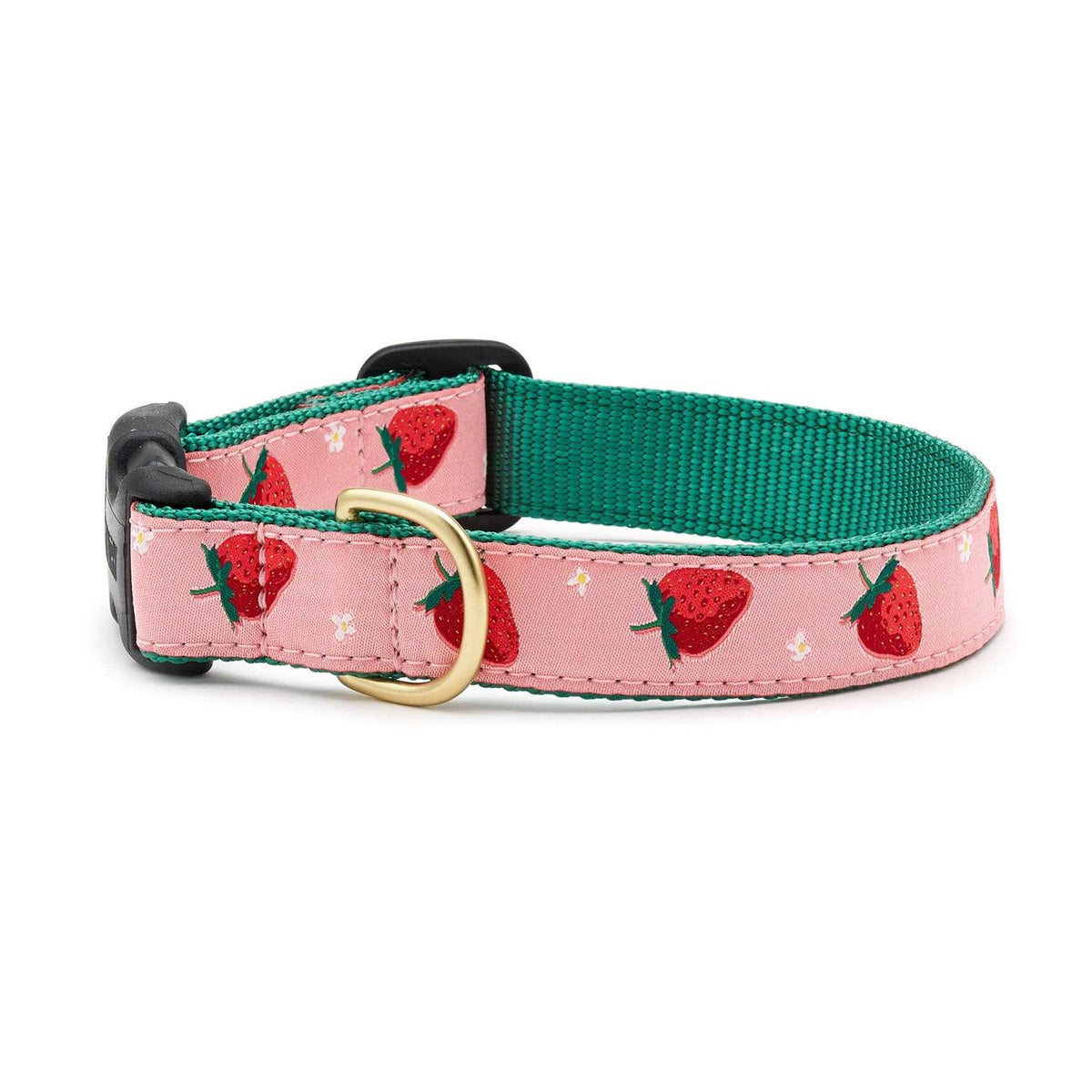 Strawberry Fields Dog Collar O554178