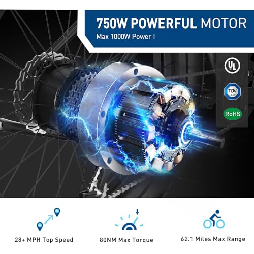 1000W 48V 13Ah Fat Tire Electric Bike Q2388