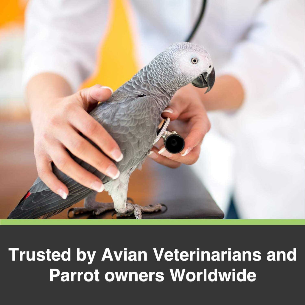 Large Parrots Pet Supplies F4620