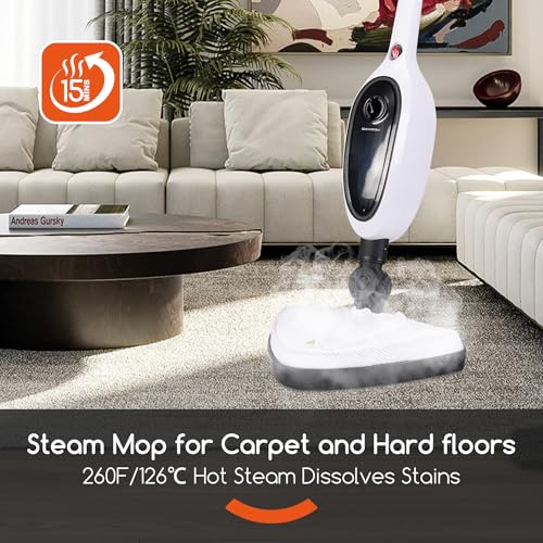 Steam Mop with Attachments L5460