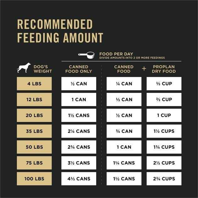 High Protein Wet Dog Food M2214
