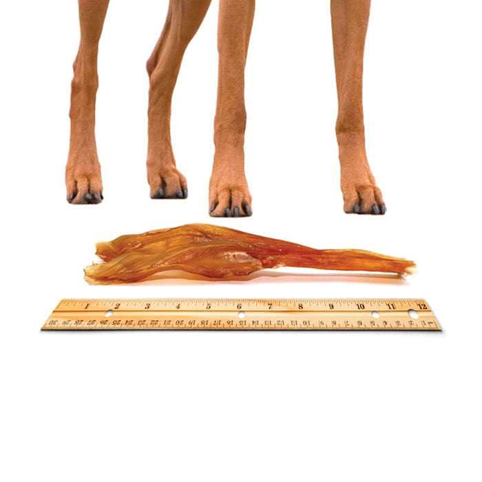 Beef Tendon Dog Chews B557