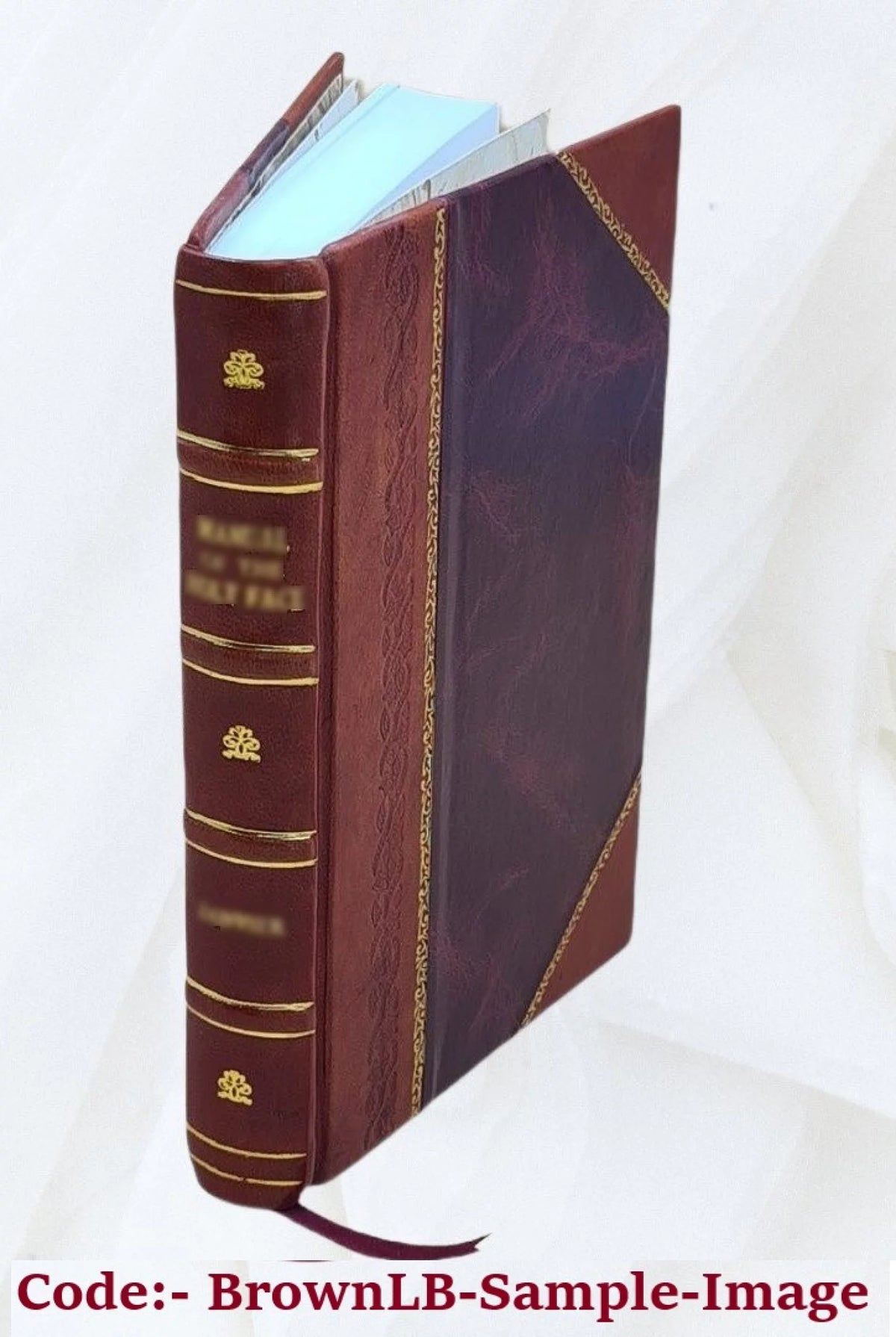 Guida descrittiva e medica alle acque minerali ed ai bagni d'Italia 1896 Leather Bound U667128