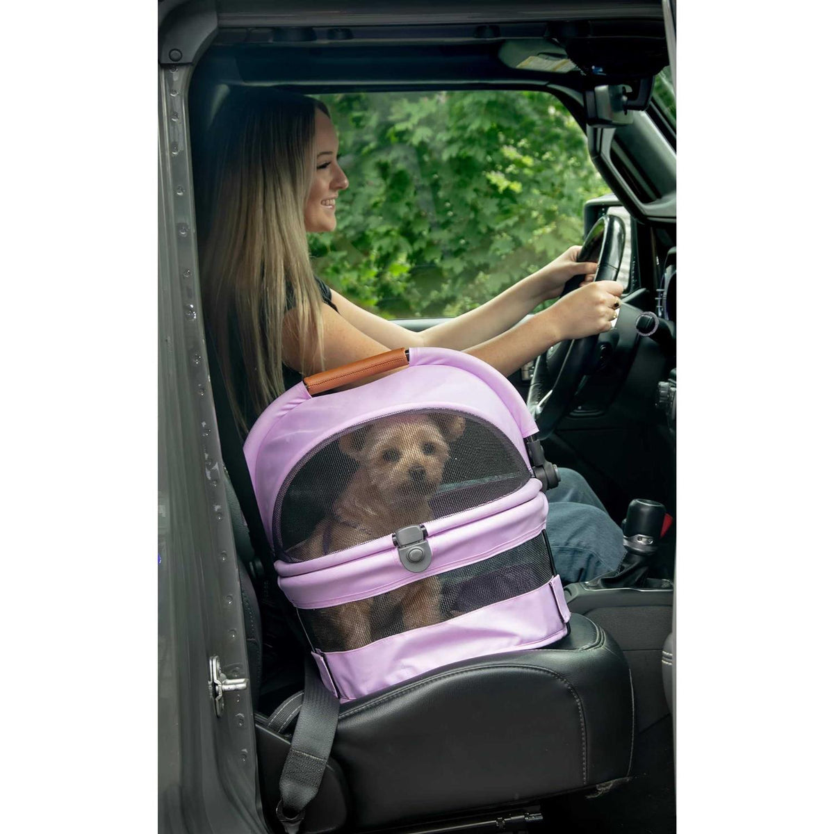 View 360 Pet Carrier R589