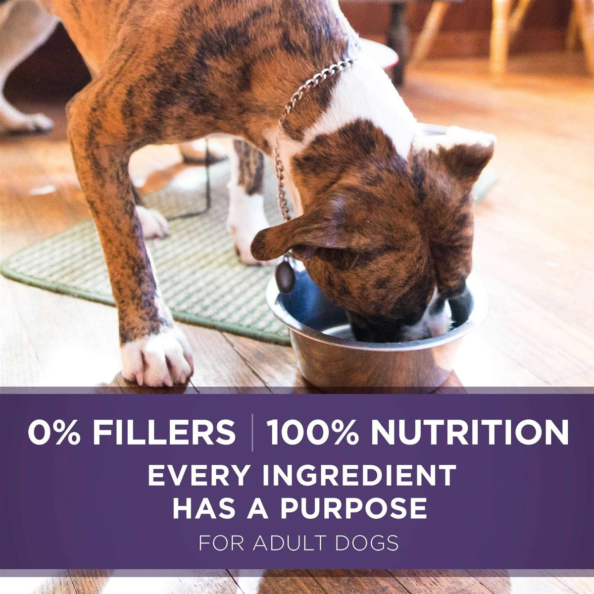 Chicken & Brown Rice Ground Wet Dog Food F28976