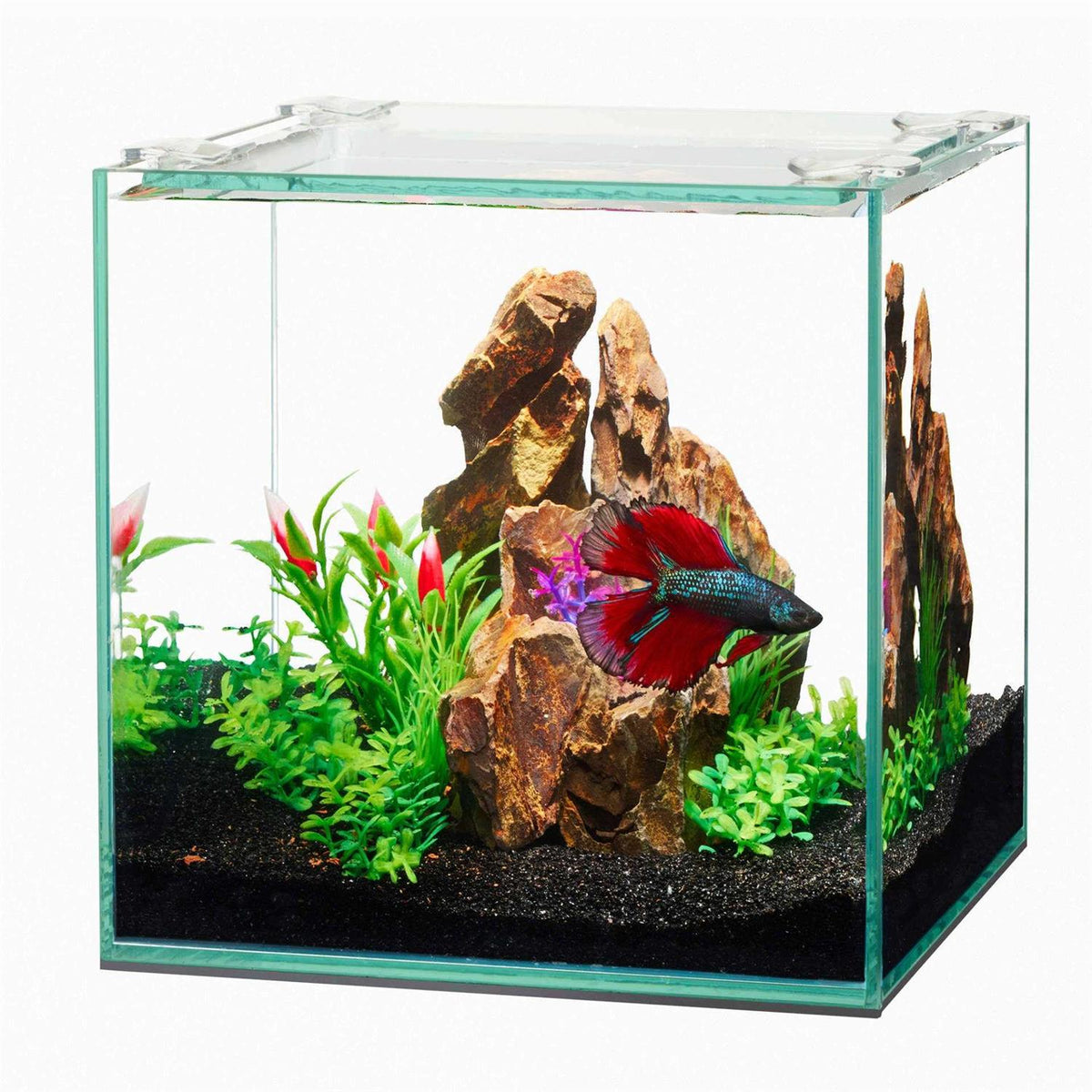 Frameless Cube Aquarium G12751