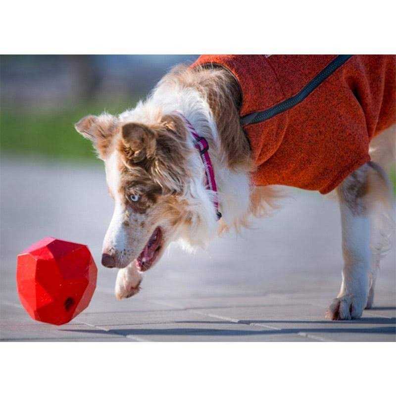 Dog Toy K677