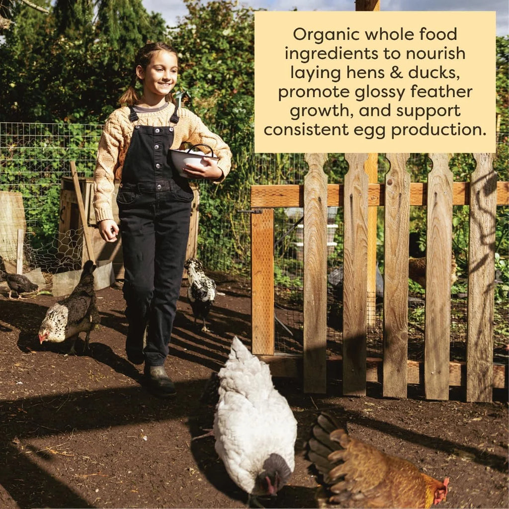 Organic Whole Grain Layer Feed + Corn 18% Protein Chicken and Duck Feed 40lb V755