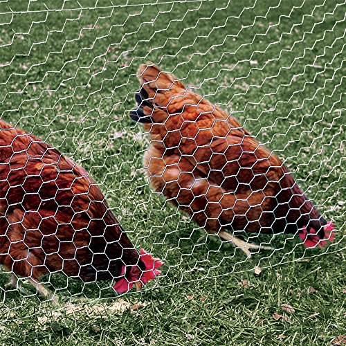 2 Inch Mesh 24 Inch X 150 Foot 20 Gauge Galvanized Steel Wire Fence X18019